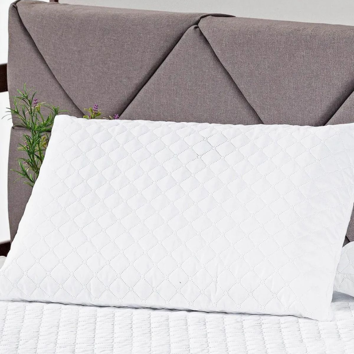 ZEE DREAMS - Pack 2 Fundas Protector Almohada Premium 50x70 Cm Blanco Lisa