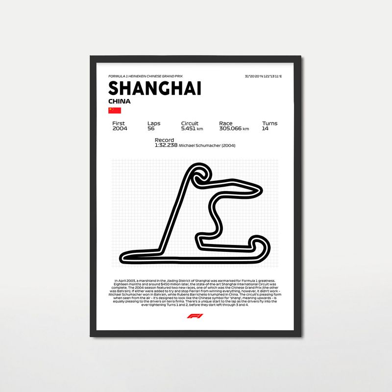 GENERICO - Cuadro Formula 1 Shanghái China