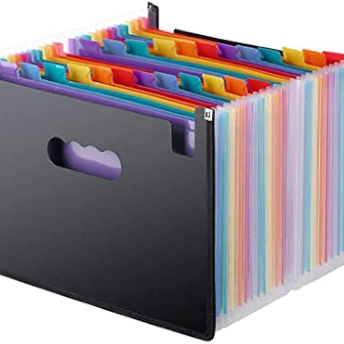 GENERICO - Carpeta Organizadora A4 Tipo Acordeón 24 Fuelles Colores