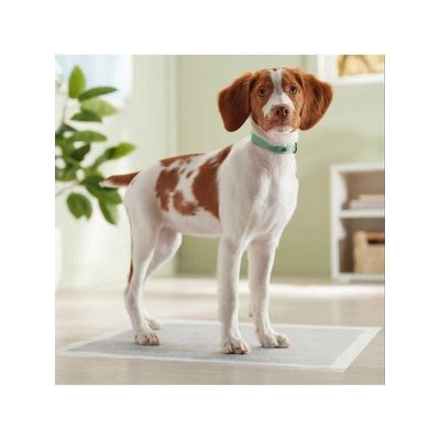 Imagen 2 del producto Sabanillas HI5 60×60 cm Carbón Activado – Pack 30 Unidades