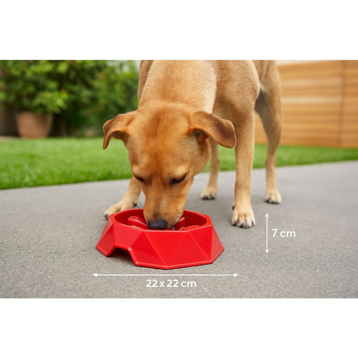 GENERICO - Plato Alimentación Lenta Hey! Rojo 22x22x7 cm Perros