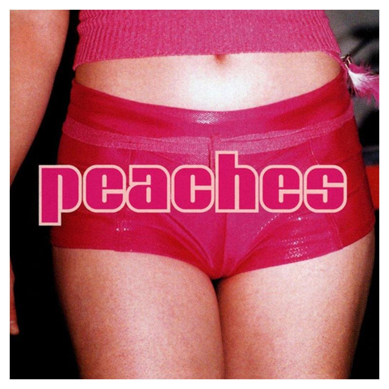 GENERICO - Peaches - The Teaches Of Peaches - Vinilo