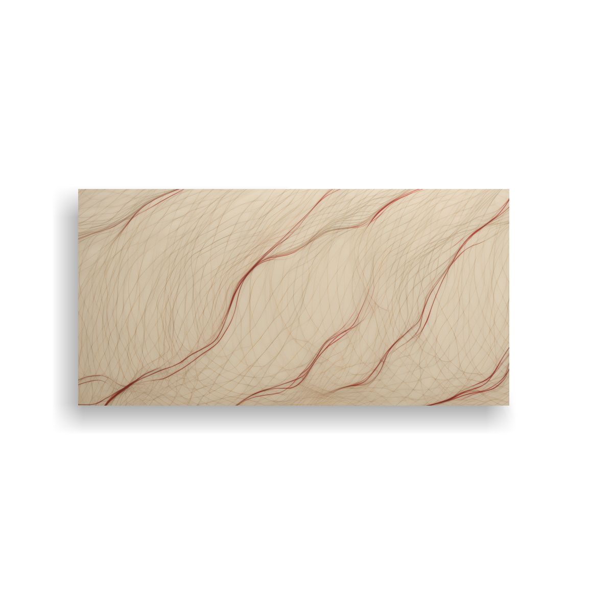 GENERICO - Colección De Líneas Rojas Delgadas Formando Un 80x40 Cm