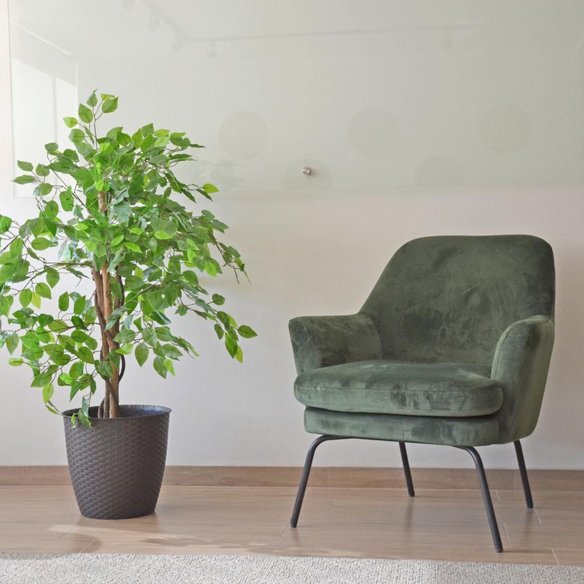 ARBUSTO REAL - Planta Ficus Artificial Premium 120 cm - Decoración Interior/Terraza