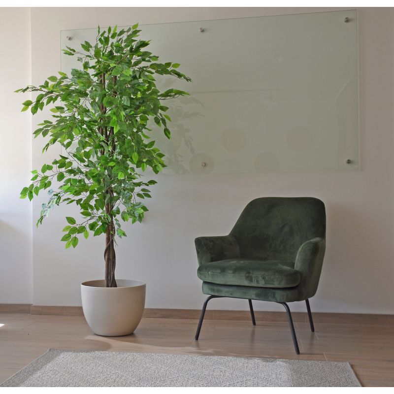 ARBUSTO REAL - Ficus Decorativo 180 cm - 1180 Hojas p/ Interior y Terraza