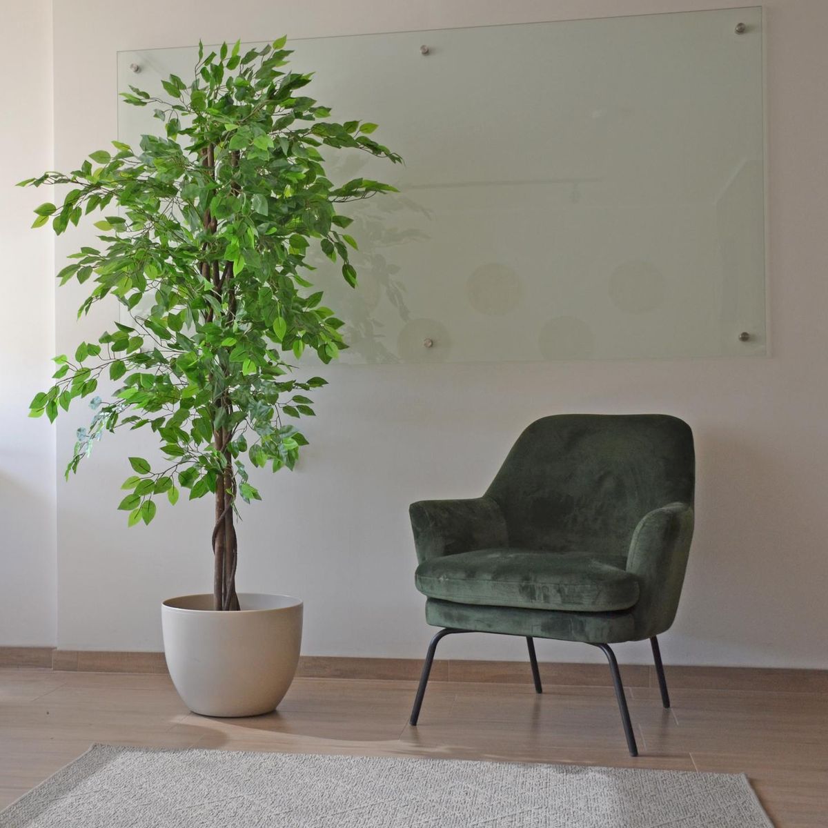 ARBUSTO REAL - Ficus Decorativo 180 cm - 1180 Hojas p/ Interior y Terraza