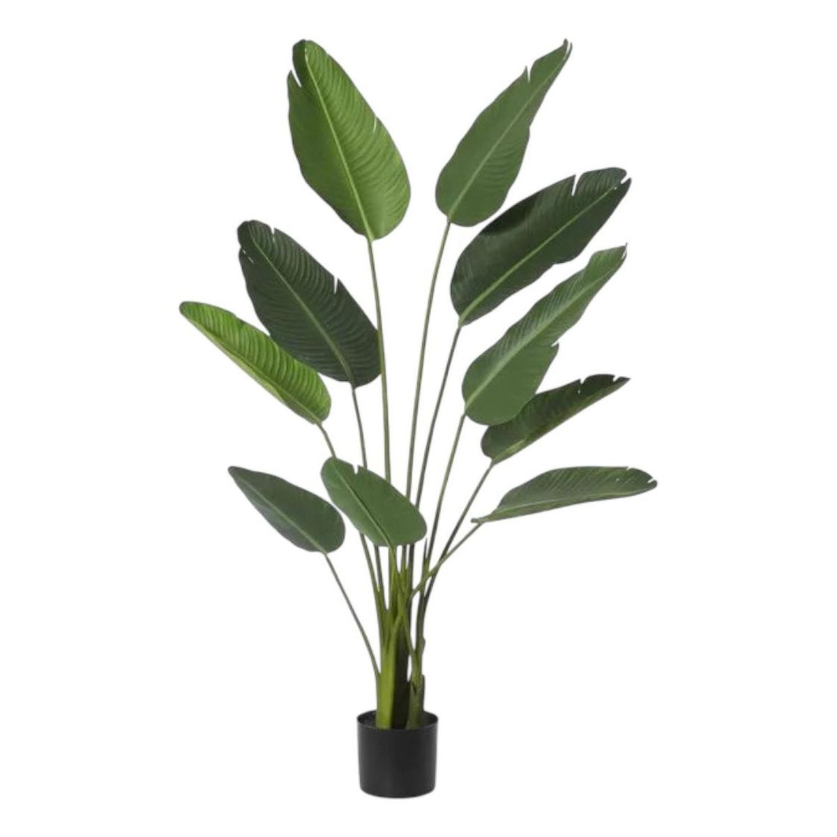 ARBUSTO REAL - Planta artificial Bird Of Paradise 180 Cm con 12 hojas
