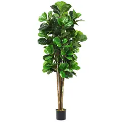ARBUSTO REAL - Planta Artificial Ficus Lirata 180 cm / 254 hojas Verde