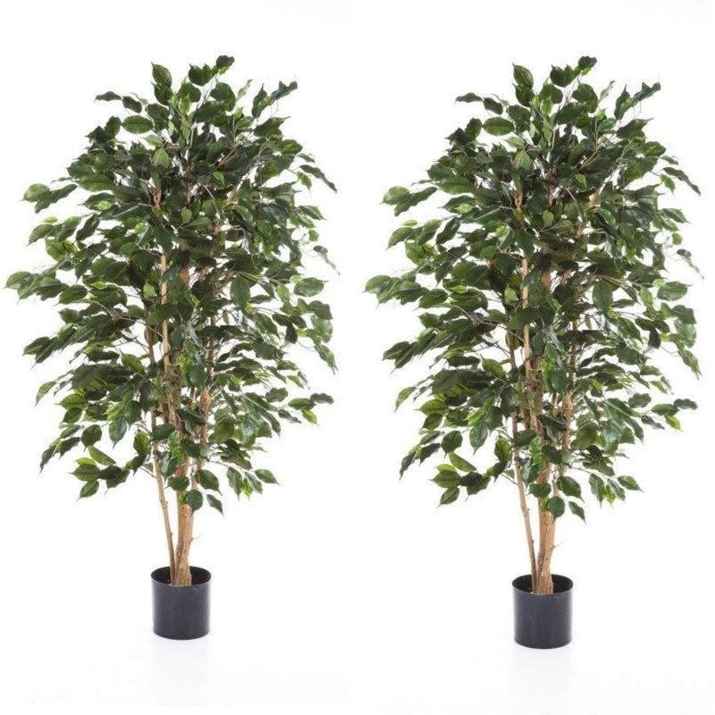 ARBUSTO REAL - Pack 2x1 Planta Artificial Ficus Benjamina 120 cm c/ 630 hjs