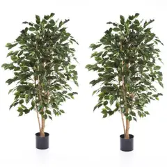 ARBUSTO REAL - Pack 2x1 Planta Artificial Ficus Benjamina 120 cm c/ 630 hjs
