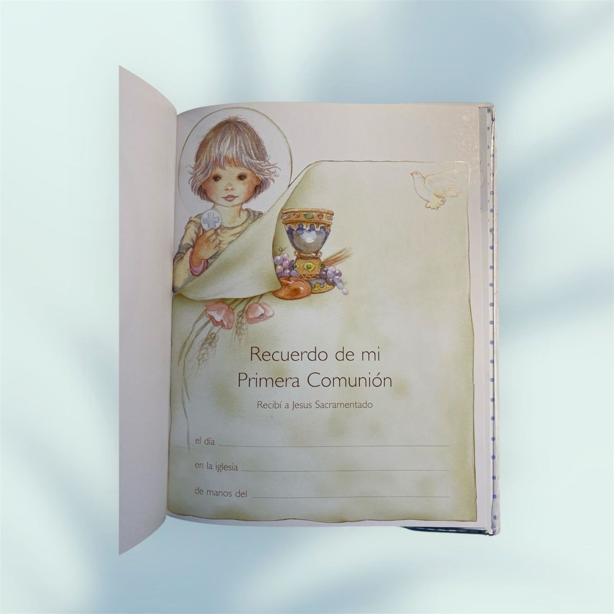 GENERICO - Album de Recuerdo de Mi Primera Comunión