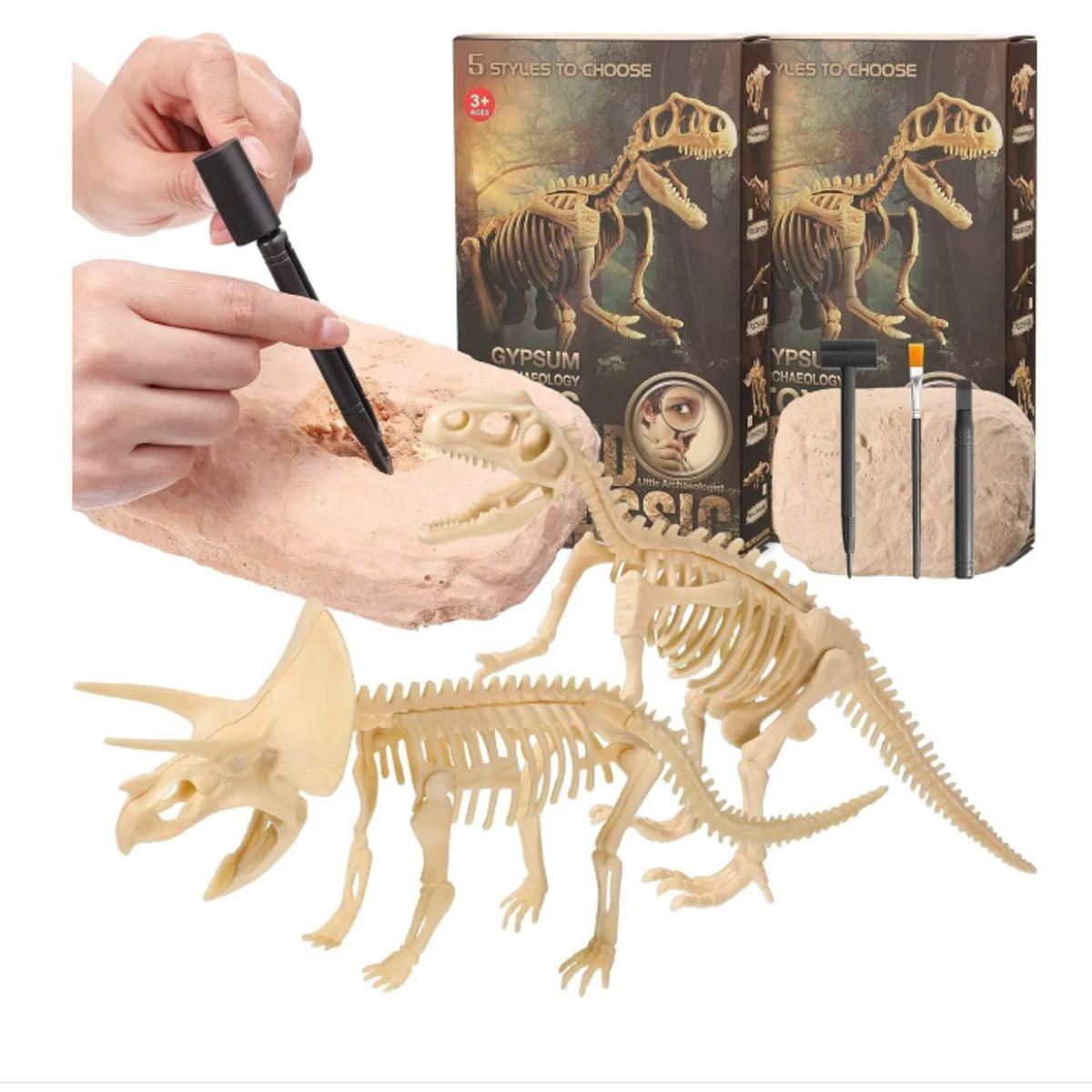 GENERICO - Kit Excavación Fósil Dinosaurio Descubrimiento Arqueologico