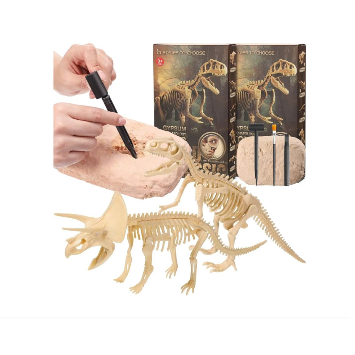 GENERICO - Kit Excavación Fósil Dinosaurio Descubrimiento Arqueologico