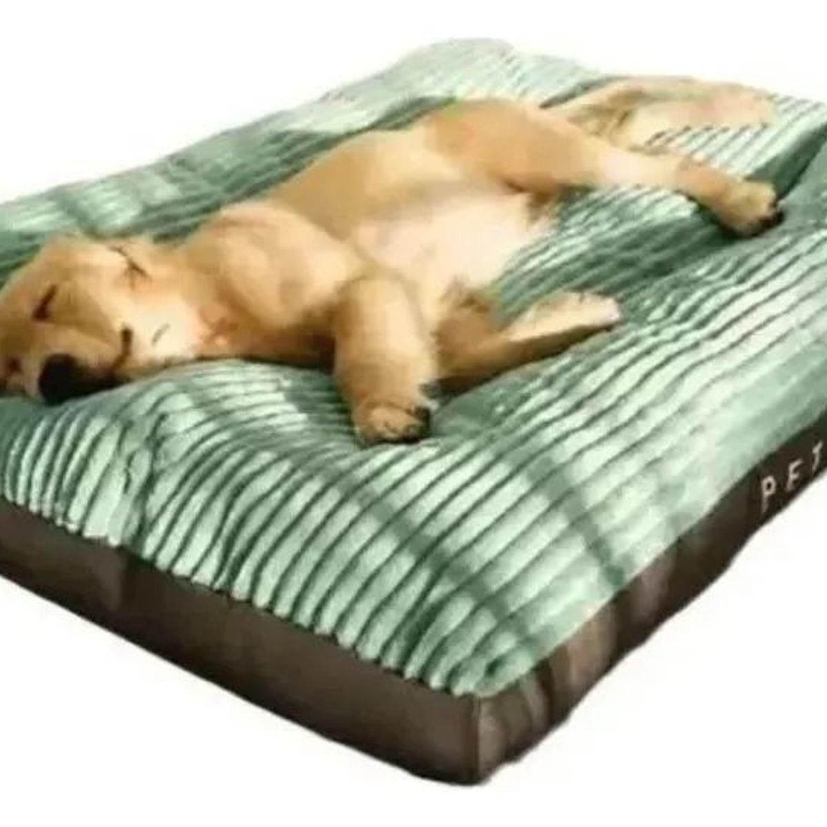 SHOP EHOME BAG - Cama Para Perros Grandes Entregar Xl