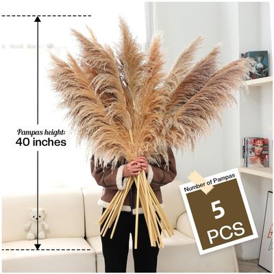 Imagen 2 del producto Pampas Secas 5pcs Plantas Decorativas Flores Artificiales