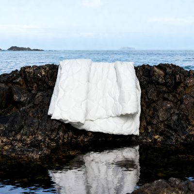 Imagen 2 del producto Plumón Cloudy Microfibra Edredón Algodón Premium