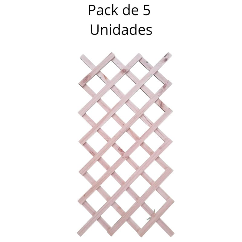 GENERICO - Pack 5 unidades - Enrejado Madera 60x120 cm - sin marco
