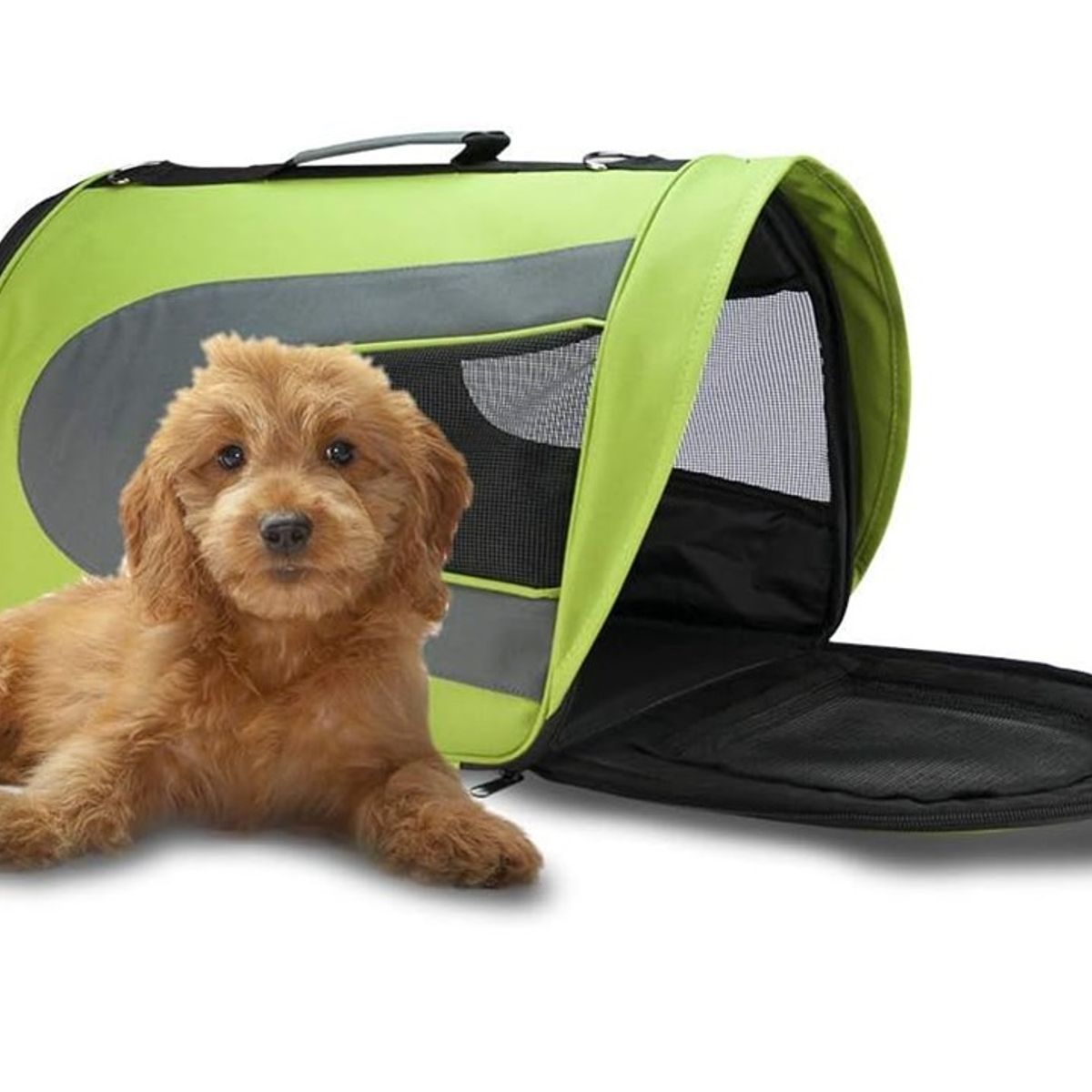 MARBEN PETS - Bolso Transporte Mascotas Pequeño 36x215x235cm Verde