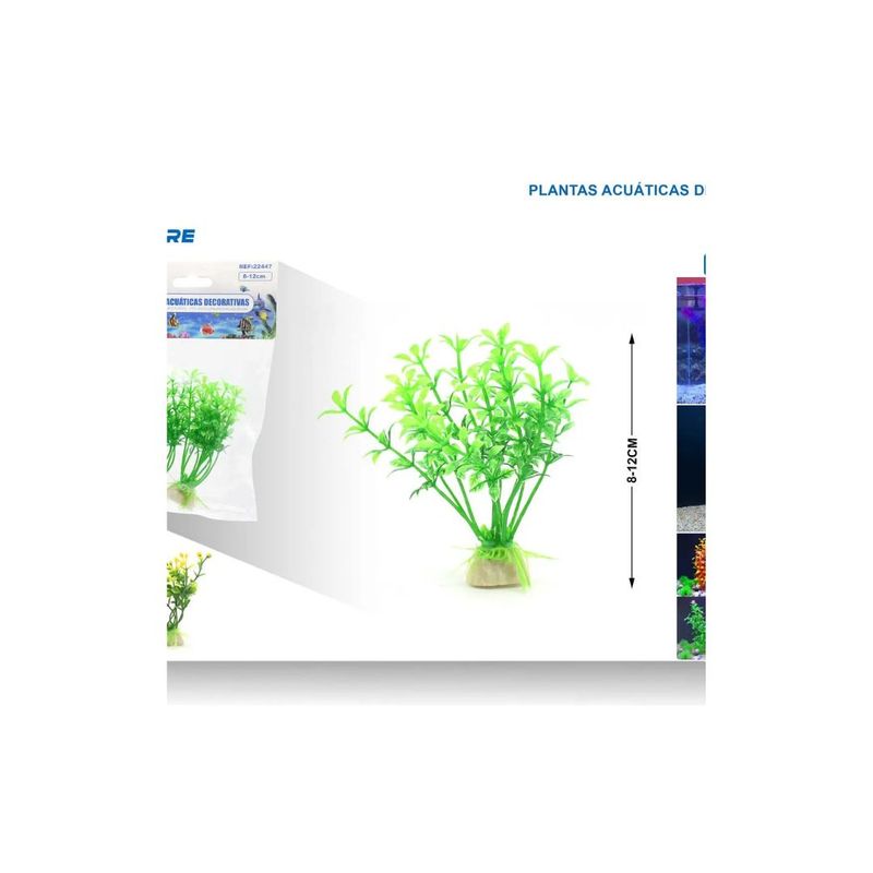 GENERICO - PLANTA ACUATICA DECORATIVA 8-10 CM