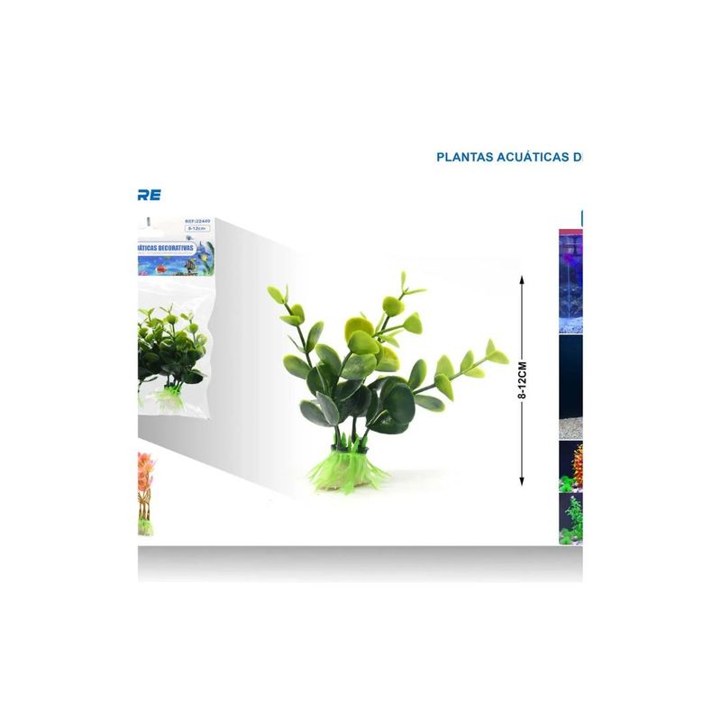 GENERICO - PLANTA ACUATICA DECORATIVA 8-10 CM