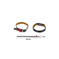 GENERICO - COLLAR PARA GATOS CON CASCABEL 1X30CM