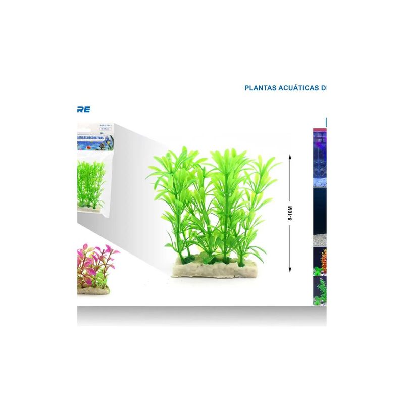 GENERICO - PLANTA ACUATICA DECORATIVA 8-10 CM