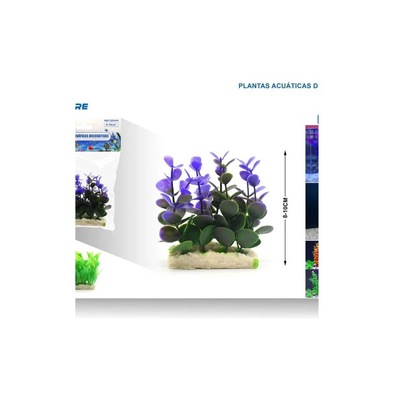 GENERICO - PLANTA ACUATICA DECORATIVA 8-10 CM
