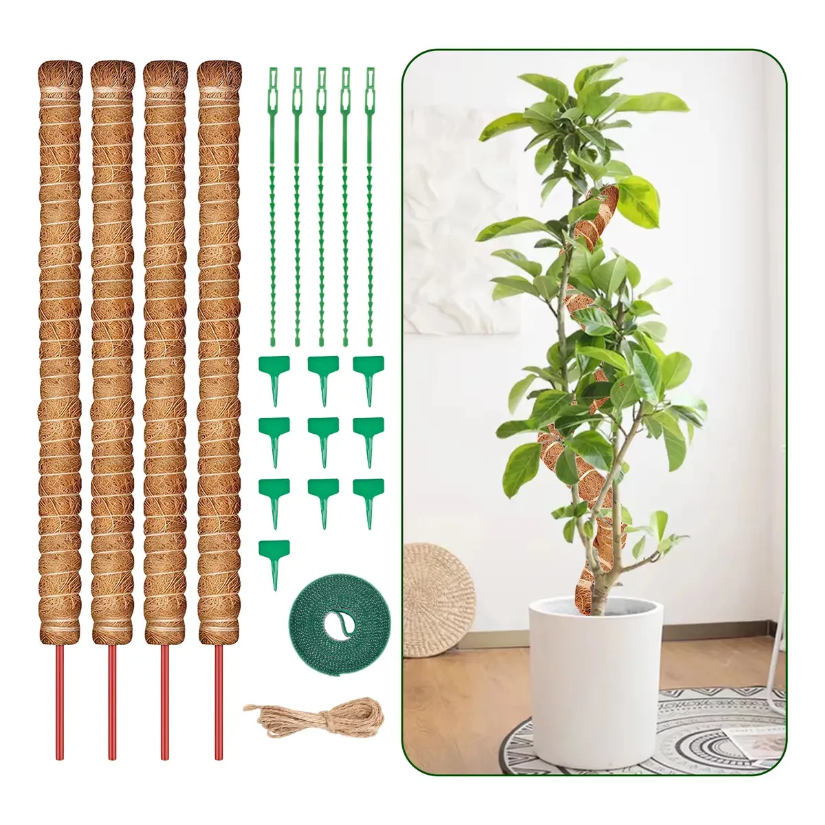 KUANGYE - 100cm Suporte Tutor De Musgo Para Plantas Hidroponico 21 Kits