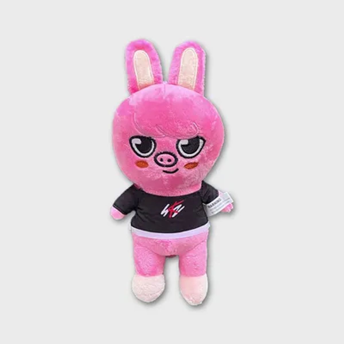 COMPUTECH - Peluche Dwaekki SKZOO de Stray Kids