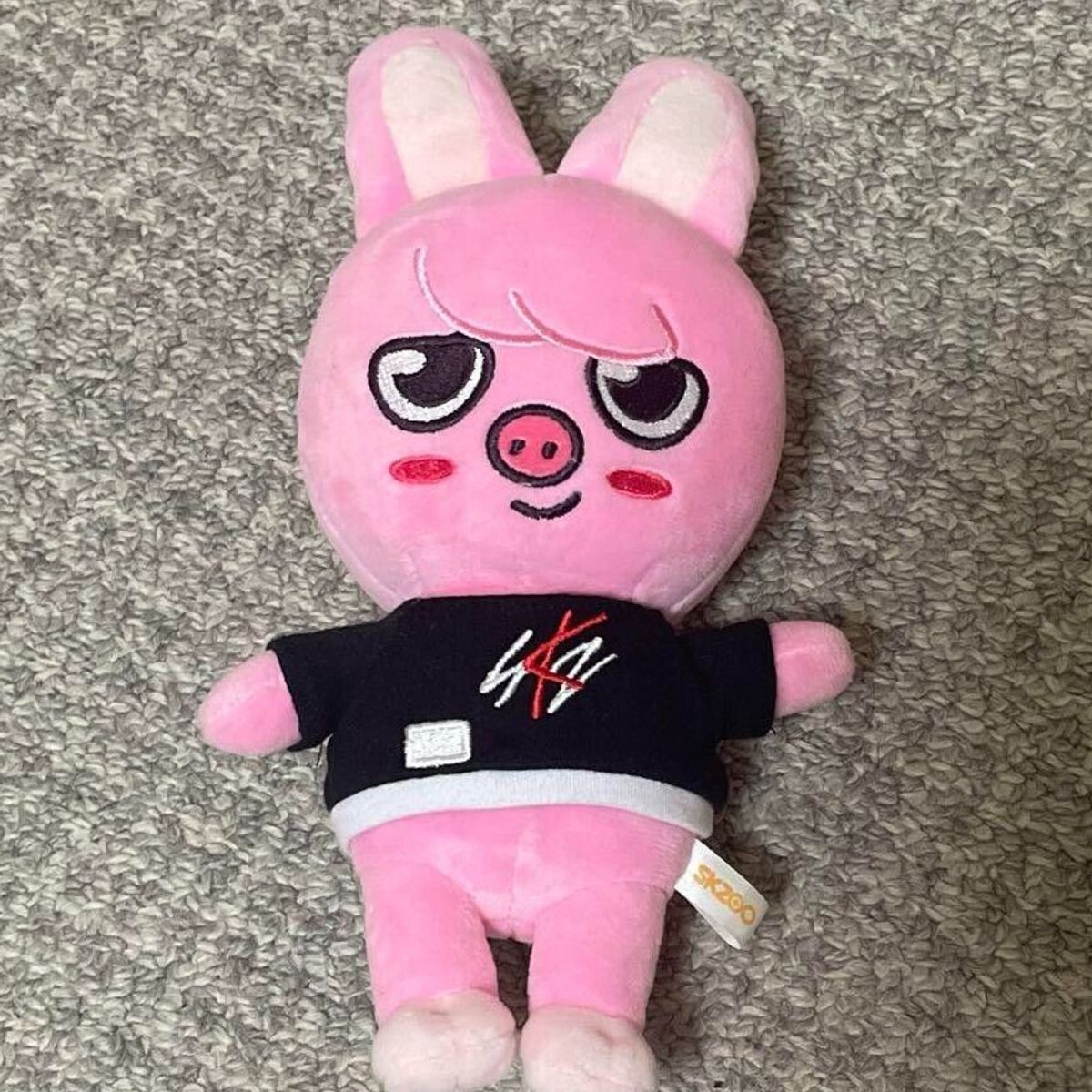 COMPUTECH - Peluche Dwaekki SKZOO de Stray Kids