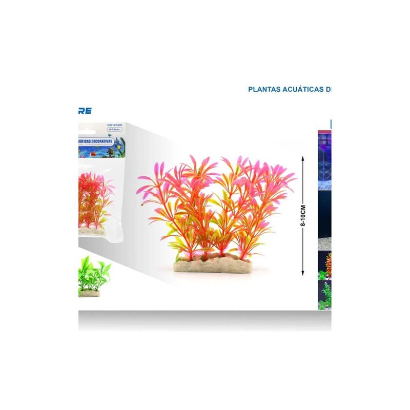 GENERICO - PLANTA ACUATICA DECORATIVA 8-10 CM