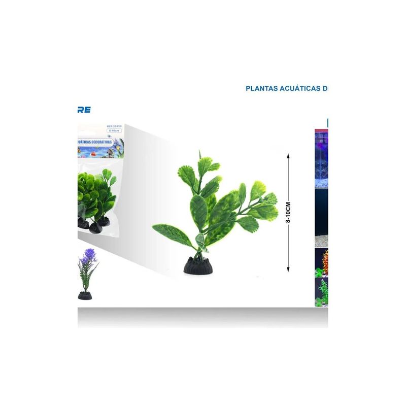 GENERICO - PLANTA ACUATICA DECORATIVA 5 PCS 8-10 CM