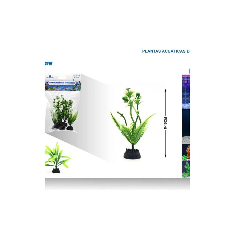 GENERICO - PLANTA ACUATICA DECORATIVA 5 PCS 8-10 CM