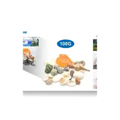 GENERICO - CONCHAS 100G CONCHAS 100G