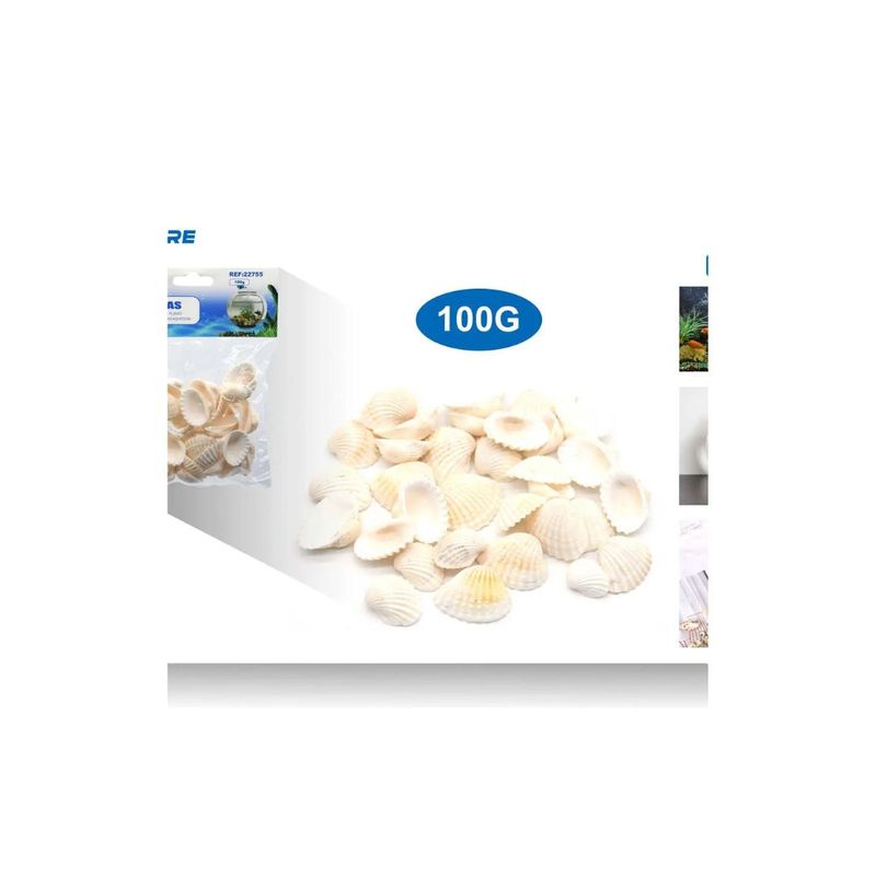 GENERICO - CONCHAS ADORNOS 100G