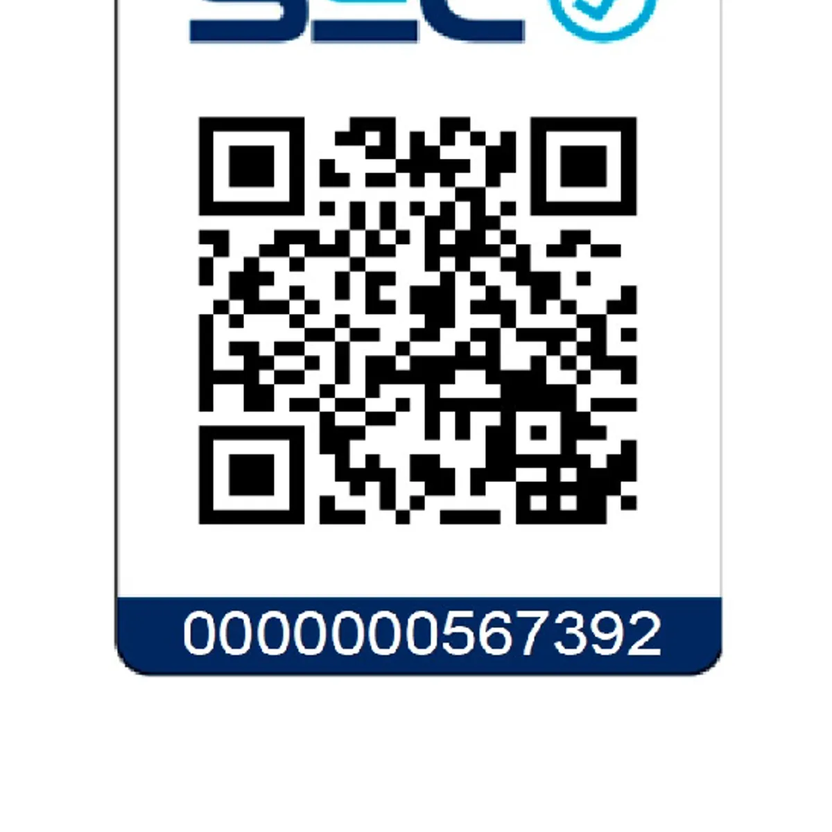 TOTAL TOOLS - Kit Taladro Percutor 20v + Herramientas - 165 Piezas Total