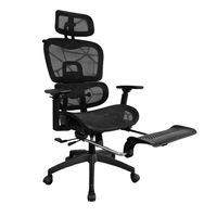 Silla de escritorio con Reposapies Ergonomus ErgoPro