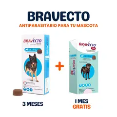 BRAVECTO - PACK 10 A 20KG + 1 MES GRATIS