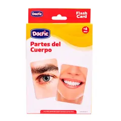 DACTIC - Lámina Didáctica Partes Del Cuerpo