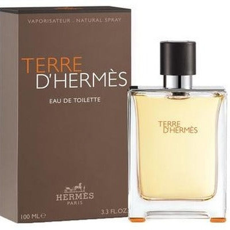 HERMES - Terre DHermes EDT 100 ML - Hermes
