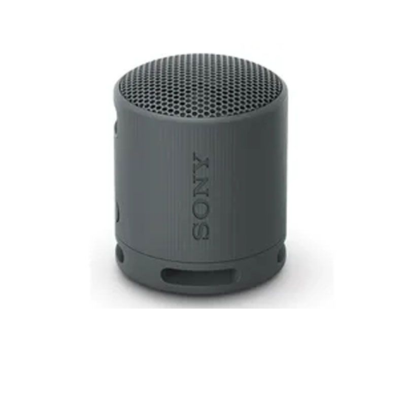 SONY - Parlante Portatil Bluetooth Srs-Xb100 Sony