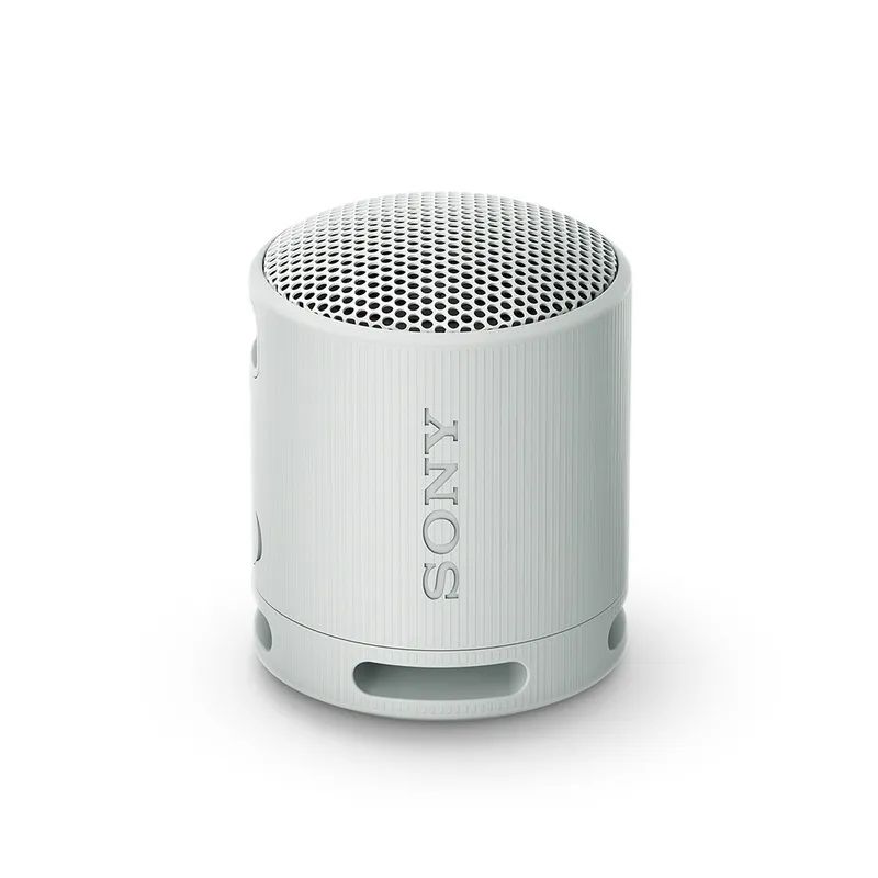 SONY - Parlante inalámbrico portátil XB100 Gris