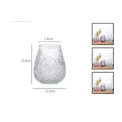 GENERICO - Macetero De Vidrio 154Cm Para Flores Florero