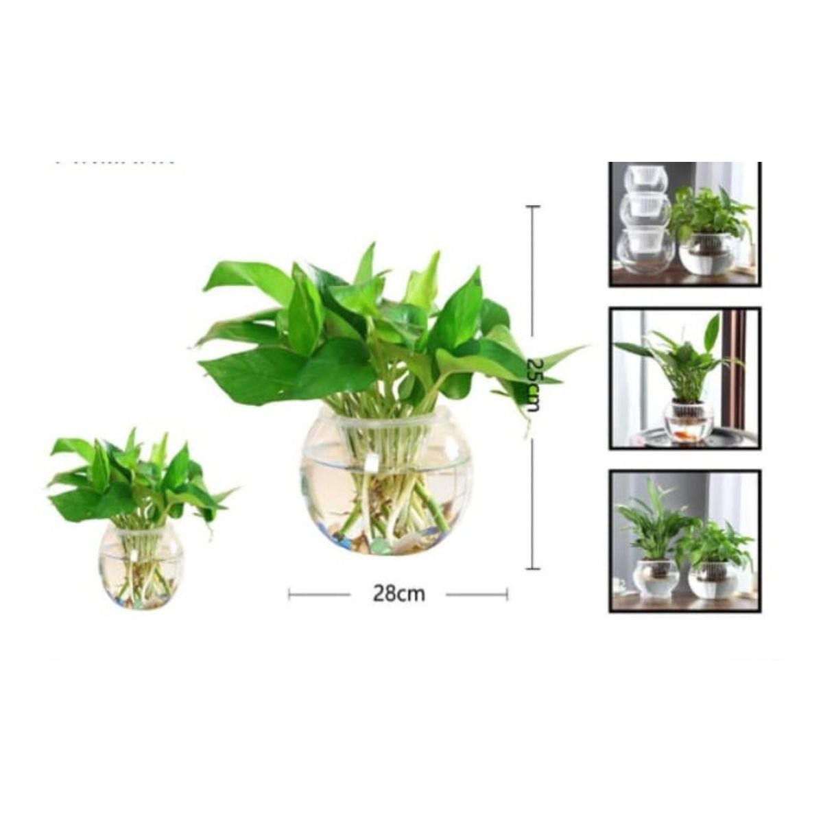 GENERICO - Macetero De Vidrio 25Cm Para Flores Florero Vaso