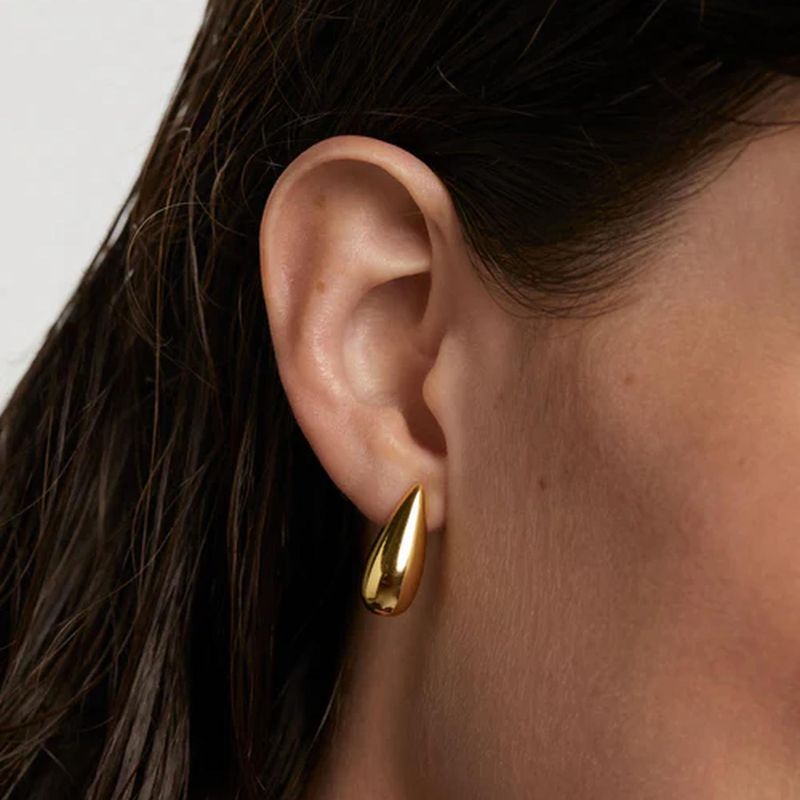 PDPAOLA - Aros Large Sugar  PDPAOLA