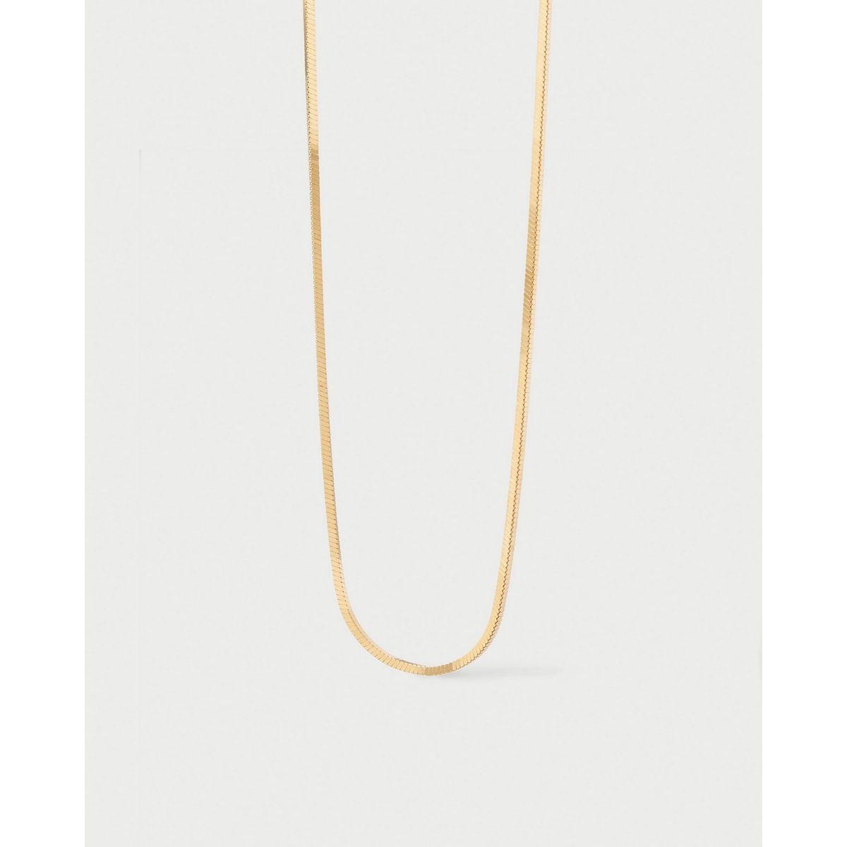 PDPAOLA - Collar Snake PDPAOLA