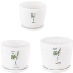 HOMEY - Pack De 3 Maceteros Con Plato, Modelos Marca