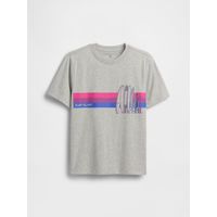 Polera Niño Surfboards Manga Corta Gris