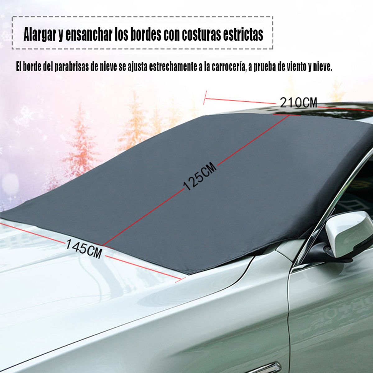 GENERICO - Auto imán snow stop