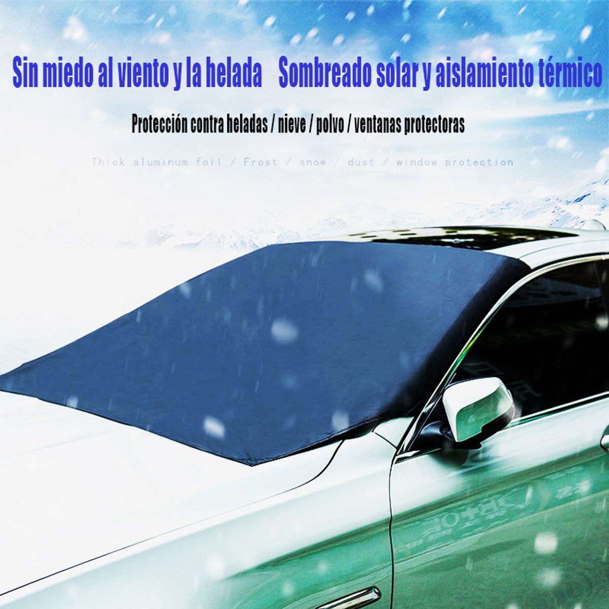 GENERICO - Auto imán snow stop